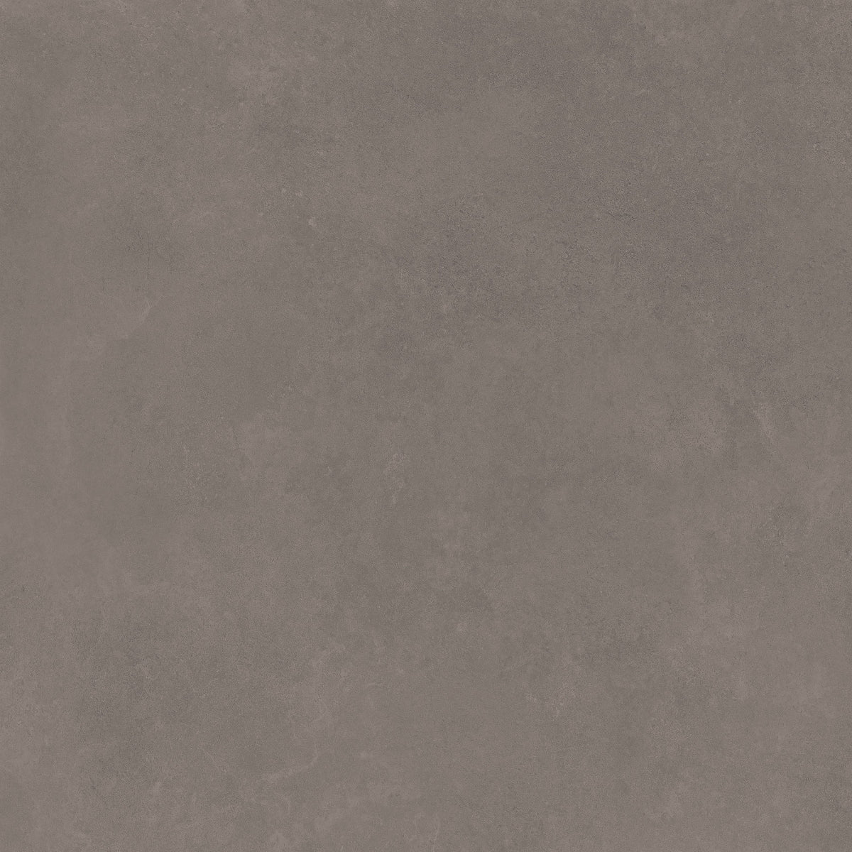 Argenta - Tanum – Collections d'Architectes