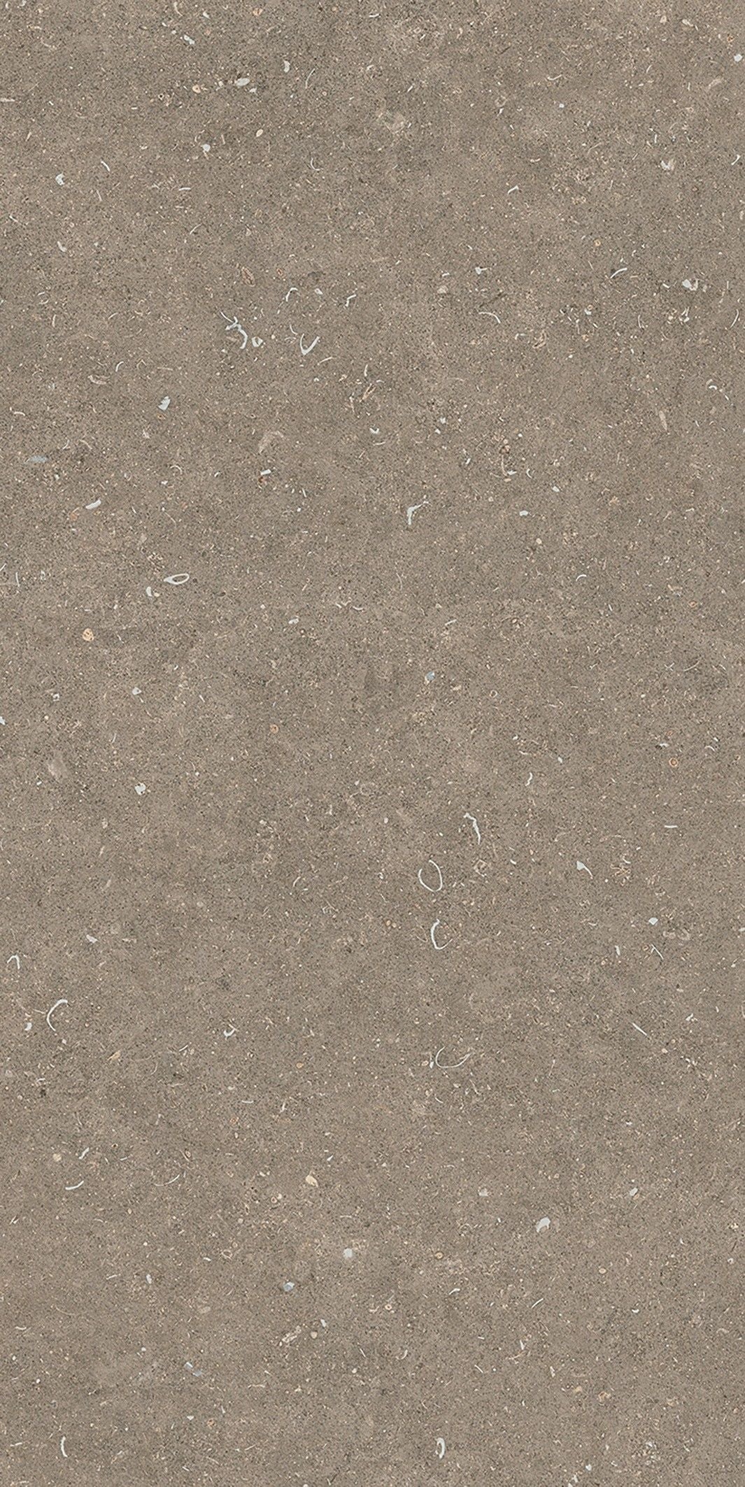Rinascenza