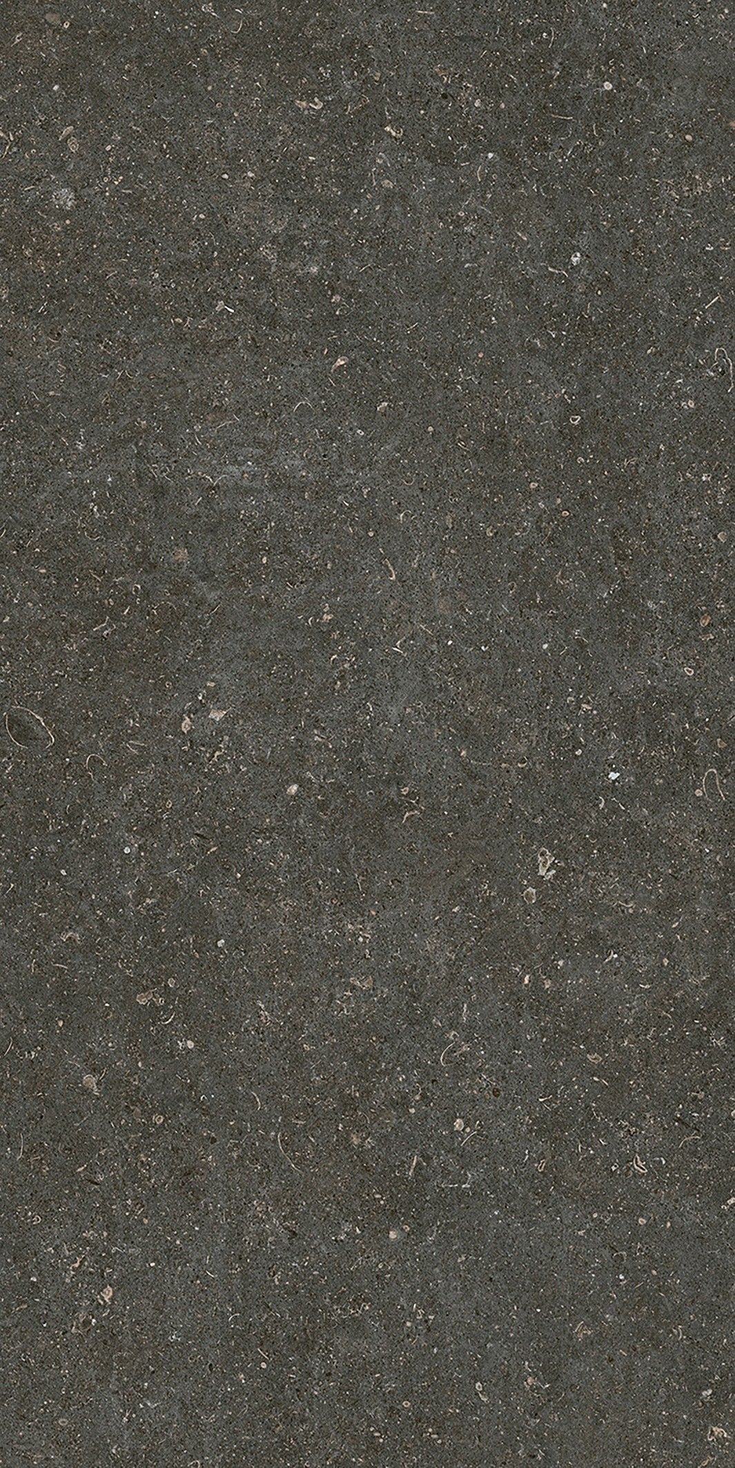 Rinascenza