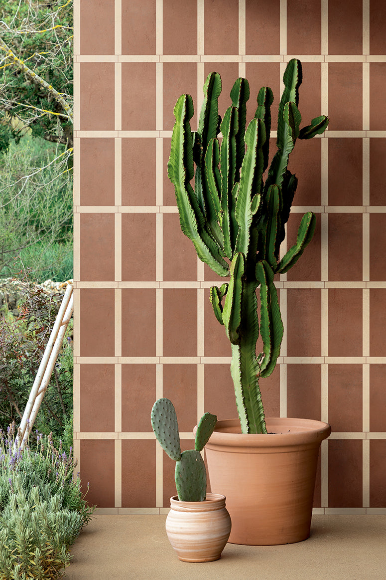 Sensi Terre